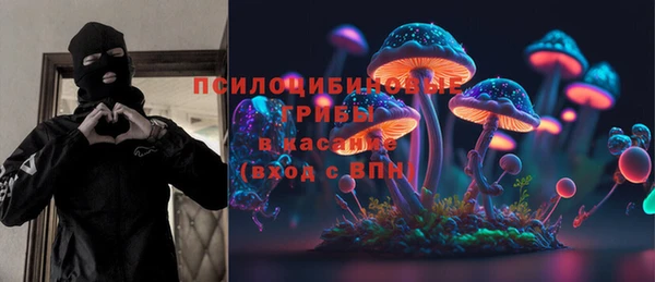 СК Медногорск