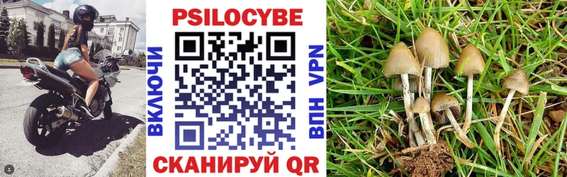 Галлюциногенные грибы Magic Shrooms kraken как войти Монино